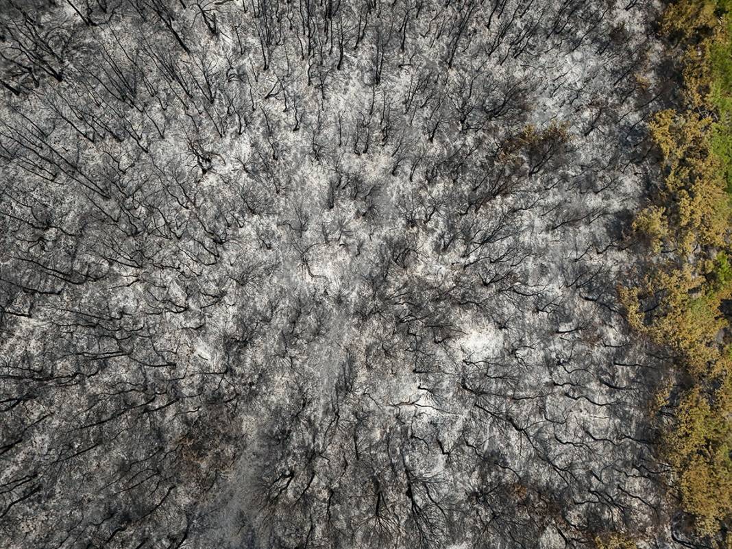 Kahreden manzara! Bornova'da yanan ormanlar dronla görüntülendi 25